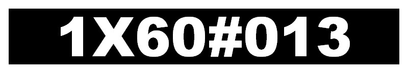 1X60#013
